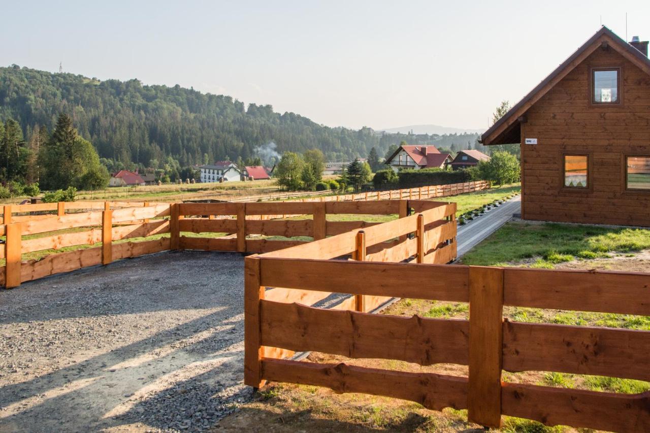 U Jana I Wita Villa Istebna Luaran gambar