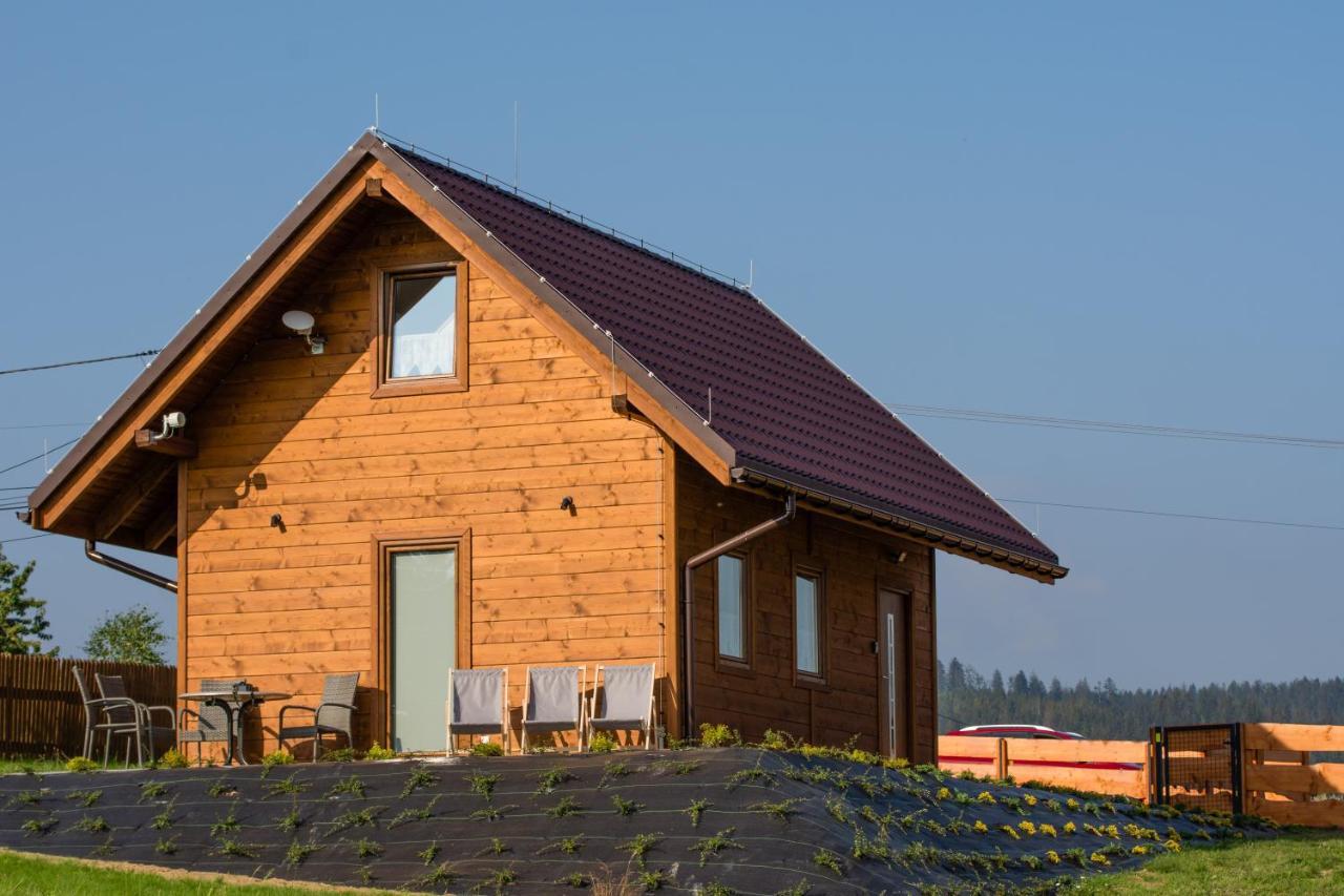U Jana I Wita Villa Istebna Luaran gambar