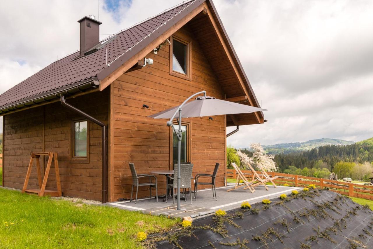 U Jana I Wita Villa Istebna Luaran gambar